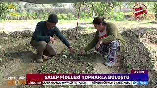 Topraktan Sofraya Salep Üretiminin Zorlu Yolculuğu [upl. by Stirling]