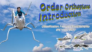 Insect Orders Part 3 Orthoptera A Introduction  By Dr Imran Khatri [upl. by Aniryt]