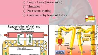 Renal System  Physiology  Part 6 Treatment  Brief Pharmacology [upl. by Anika127]