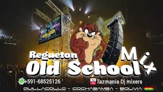 Regueton Old School Mix Don Omar Daddy Yankee Guanabanas  Tazmania Dj Mixers [upl. by Eceirahs684]