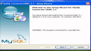 Instalando MySQL ConnectorODBC 351 [upl. by Akirderf]