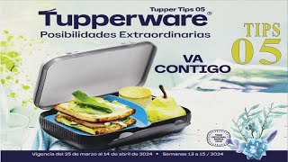 Catálogo TUPPERWARE tips 5 2024 [upl. by Nauqit235]