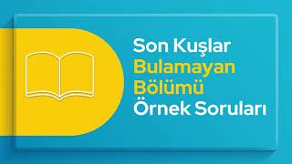 Son Kuşlar quotBulamayanquot Bölümü Örnek Soruları Okumak Güzeldir Ödüllü Kitap Okuma Yarışması [upl. by Suoivatram61]