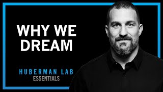 Understand and Use Dreams to Learn and Forget  Huberman Lab Essentials [upl. by Krisha994]