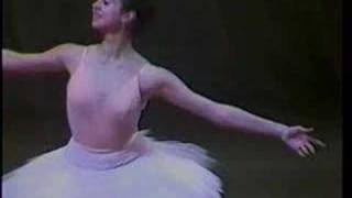 Asaf Messerer Gala 1982  Bolshoi Ballet  78 [upl. by Attevroc239]