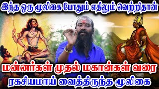 இந்த ஒரு மூலிகை போதும் எதிலும் வெற்றிதான் This one herb is enough to win anything [upl. by Amiel662]