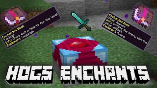 Hogs Enchants  Addon Showcase [upl. by Ree650]