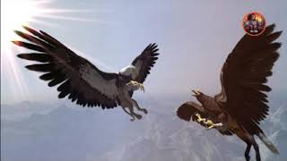 fantasy fighters Griffin vs Hippogriff [upl. by Constantina]