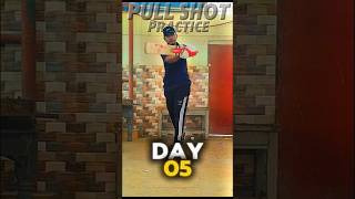 DAY5  How to Play pull Shot❓ 30 Days of Batting Brilliance cricket shorts battingchallenge [upl. by Erlond]