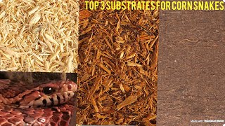 Top 3 Best Substrates for Corn Snakes [upl. by Innavoeg]