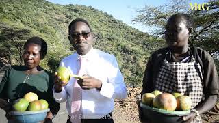 STOPOVER AT KOLOL VIEW POINT in Kerio valley [upl. by Corey]