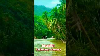 Beautiful backwater scenery backwater india southindian nature beautiful [upl. by Garbe685]