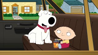 Best of Brian amp Stewie Griffin Season 21  Family Guy Funny Moments 2023 [upl. by Aihsal185]