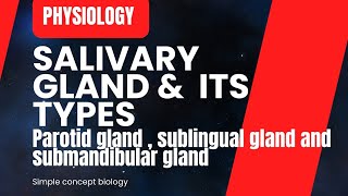 salivary glands  Anatomy and Physiology [upl. by Ahsinad736]