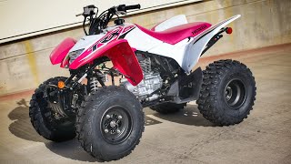 New 2023 Honda TRX250X Sport ATV  Quad  Walkaround  Exhaust Sound [upl. by Aldus330]