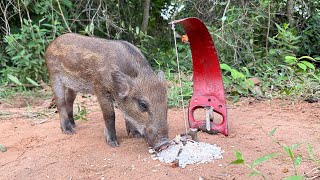 Amazing Quick Powerful Wild Pig Trap Make Using Pruning Saw Working100 animals shortvideoPigtrap [upl. by Ugo]