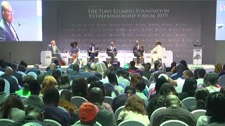 NIGERIA  BILAN DU PROGRAMME TONY ELUMELU FOUNDATION [upl. by Eniac]