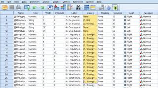 Codebook of Likert scale questionnaire from SPSS [upl. by Rekrap321]