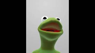 Kermit The Frog talks about being married comedy funny kermit muppets memes dudja lol frog [upl. by Llenrac463]