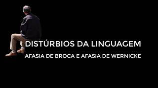 NEUROPSICOLOGIA CLÍNICA  DISTÚRBIOS DA LINGUAGEM  AFASIA DE BROCA E DE WERNICKE  DEMONSTRAÇÃO [upl. by Anyahs226]