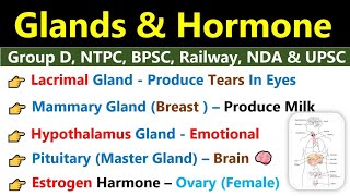 Glands amp Hormone  Endocrine amp Exocrine Glands  ग्रंथियां  Glands amp Hormone Biology Gk [upl. by Israeli831]