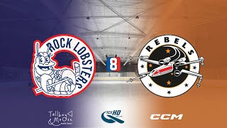 Rock Lobsters v Rebels  Div 8  10th November  iceHQ Rec League ice hockey [upl. by Lev325]