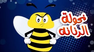 كليب نحوله الزنانه  حنان الطرايره  قناة كراميش Karameesh Tv [upl. by Eittel]