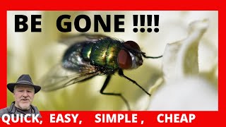 Blow Flies In House Get rid of Blowflies EASYSIMPLEQUICKCHEAP [upl. by Carvey517]