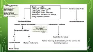 Diagnóstico y tratamiento de la hipercolesterolemia familiar [upl. by Harahs]