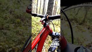 Fuji Outland 29 2016 custom 2024 mtb bike bicycle mountainbike [upl. by Emelun]