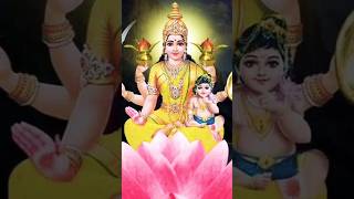 Main Tera Dil mein how bossy ki nahi good vaishnodeviarti jai Mata Di 🙏🙏 [upl. by Nerrot]