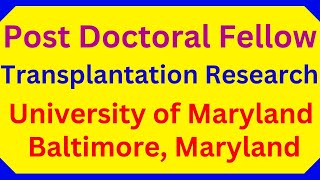 Post Doctoral Fellow Transplantation Research University of Maryland Baltimore Maryland [upl. by Jackqueline]