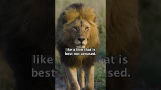 Lion of Judah Unleashed A 3700YearOld Prophecy Revealedendtimes twshort tomorrowsworld [upl. by Asiluy]