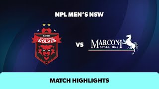 NPL Mens NSW Round 16 Highlights – Wollongong Wolves v Marconi [upl. by Tsugua537]