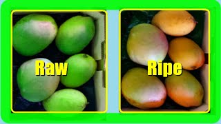 How To Ripen Mangoes Faster At Home 2 Quick Methods [upl. by Neirb]