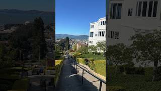 Top of the lyon street stairs in San Francisco ￼Cool Viral Shorts ￼ [upl. by Haelat]