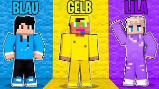 Minecraft aber wir haben NUR 1 FARBE [upl. by Asiul]