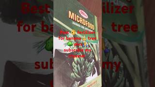 Microfood banana 🍌 soil application 😋 ♥️ viralvideo ytshorts vairalshort fruit garden [upl. by Mchale]