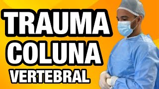 TRAUMATISMO RAQUIMEDULAR Entenda como funciona a medula [upl. by Ole592]