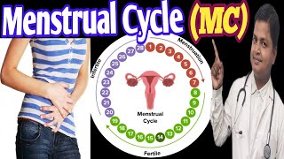 Know All About Menstrual cycle drsubhashkumar menstrualcycle [upl. by Flagler767]