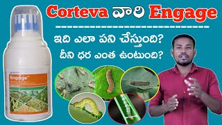 Corteva Engage Insecticide Telugu  Engage Insecticide Use in Telugu  మిరప లో ఎలా పని చేస్తుంది [upl. by Ayim405]