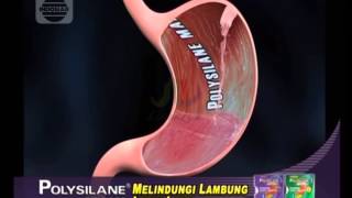 Iklan POLYSILANE MAXX  Melindungi Lambung Lebih Lama [upl. by Aztinaj234]