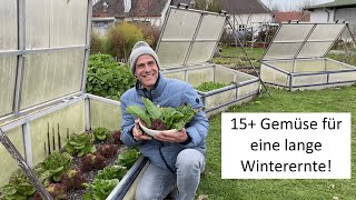 Die WINTERERNTE beginnt ❄️ die ertragreichsten Gemüse für die kalte Jahreszeit [upl. by Jemimah]