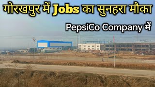 Gorakhpur PepsiCo Company में निकली डायरेक्ट भर्ती  PepsiCo Company gorakhpur  Legend Bhaiya Vlog [upl. by Shirline216]