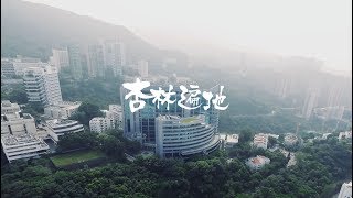 杏林遍地  「香港醫學發展一百卅年」主題曲 [upl. by Nnaeirelav]