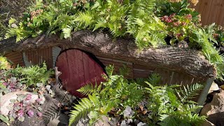 A Whimsical Garden AdditionFerns Hydrangeas Lungwort and Heuchera [upl. by Shir]