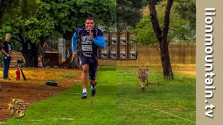 🔥 Bryan Habana vs Cheetah 🐆 The Ultimate Race for Survival 🏃💨 [upl. by Carpio52]