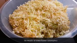 How to make easy DIY Homebrew Elderflower quotchampagnequot fizzy cheap alcoholic wine 125 alcohol [upl. by Cortney]