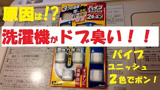 洗濯機からドブの臭いがするので 7年間ノーメンテの排水口を掃除してみた結果。なんと、、、①（失敗編） [upl. by Goff]