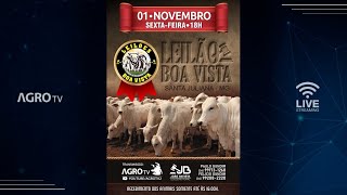 LEILÕES BOA VISTA AO VIVO  SANTA JULIANA  MG [upl. by Yerrot]